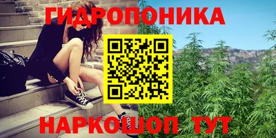 гашишное масло Камышлов