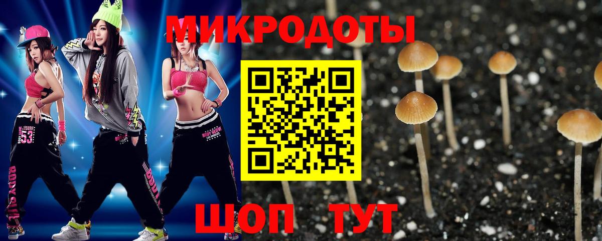 Псилоцибиновые грибы Psilocybine cubensis  Вход с VPN  Галлюциногенные грибы Magic Shrooms  Кунгур 