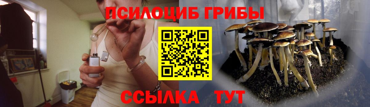Галлюциногенные грибы Cubensis Кунгур